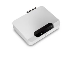 Bluesound Powernode Edge + MONITOR AUDIO AWC265 kültéri szett
