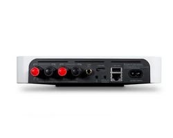 Bluesound Powernode Edge + MONITOR AUDIO AWC265 kültéri szett