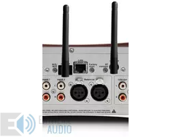 Kép 4/4 - Gato Audio DIA-250S NPM integrált erősítő, DAC és hálózati lejátszó, magasfényű dió