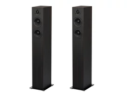 PRO-JECT Speaker Box 10 S2 hangfal pár, eucalyptus