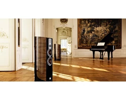 Dali Epicon 6 hangfal