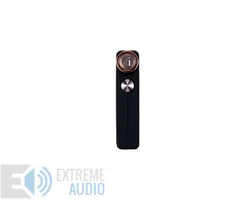 ifi Audio GO blu Bluetooth DAC