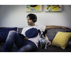 JBL Everest 700 ELITE Bluetooth zajszűrős fejhallgató, fekete JBL Everest 700 ELITE Bluetooth zajszűrős fejhallgató, fekete