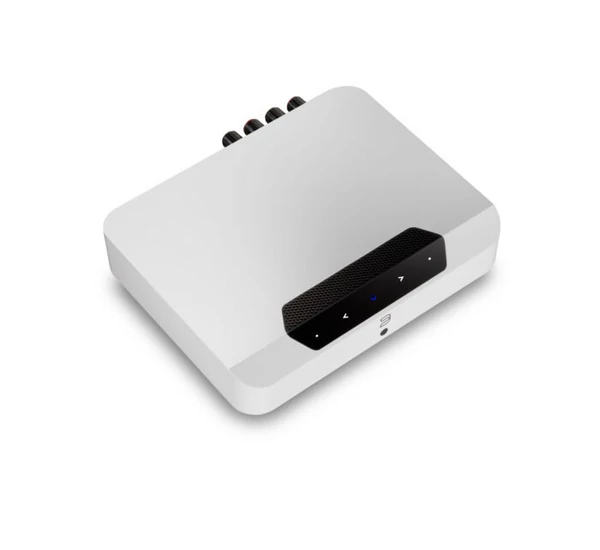 Bluesound Powernode Edge + MONITOR AUDIO AWC265 kültéri szett