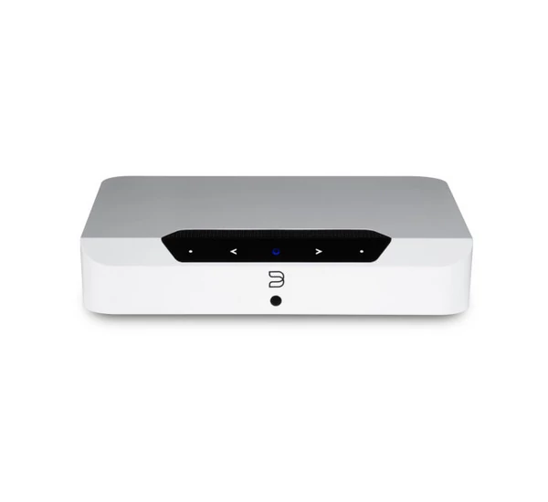 Bluesound Powernode Edge + MONITOR AUDIO AWC265 kültéri szett