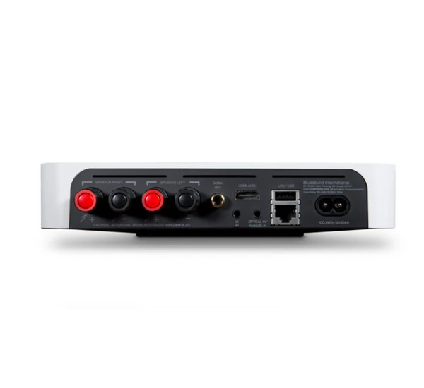 Bluesound Powernode Edge + Monitor Audio AWC265 kültéri szett