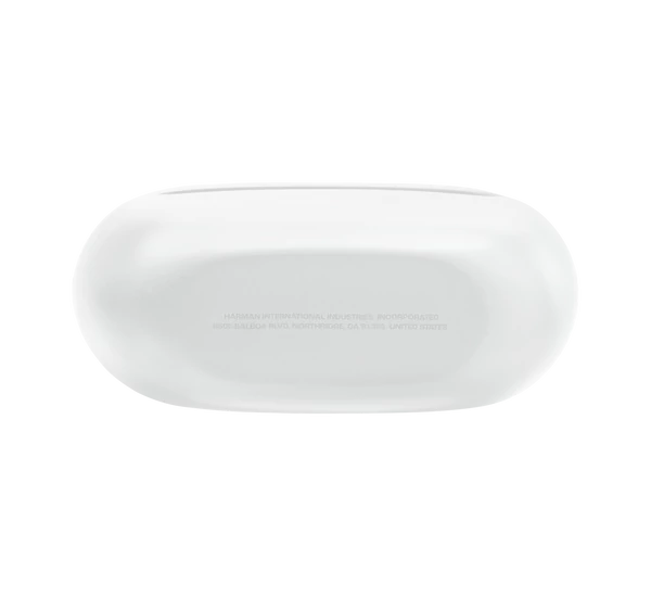 JBL Endurance Race 2 True Wireless sportfülhallgató, fehér