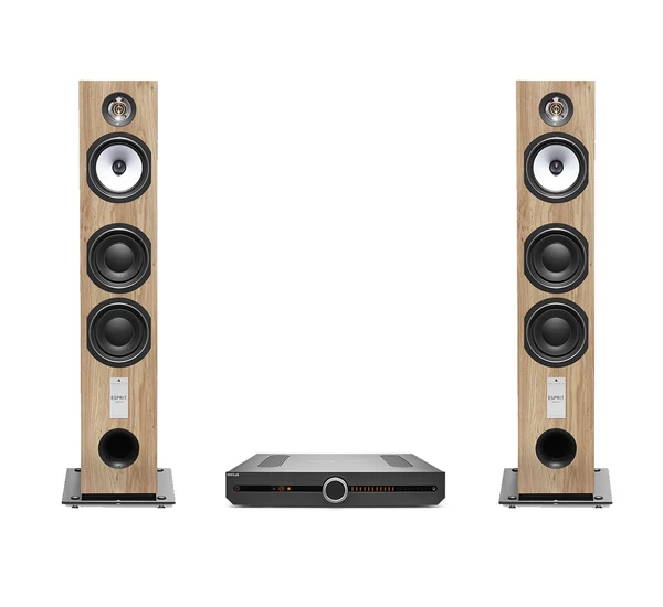 Roksan Attessa streaming, hálózati erősítő + Triangle Esprit Antal EZ szett