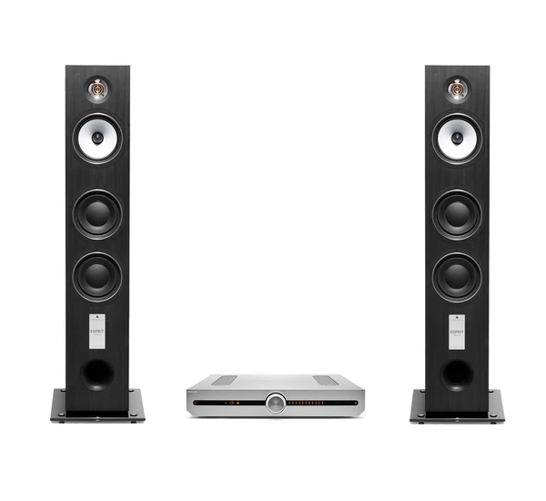 ROKSAN ATTESSA streaming, hálózati erősítő + TRIANGLE ESPRIT ANTAL EZ szett